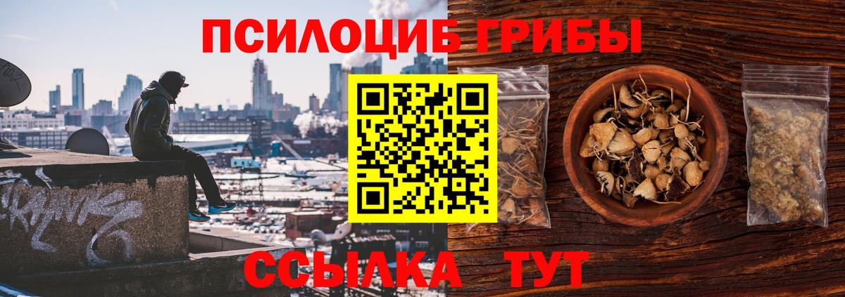 Касимов  Галлюциногенные грибы мухоморы  Вход с VPN 